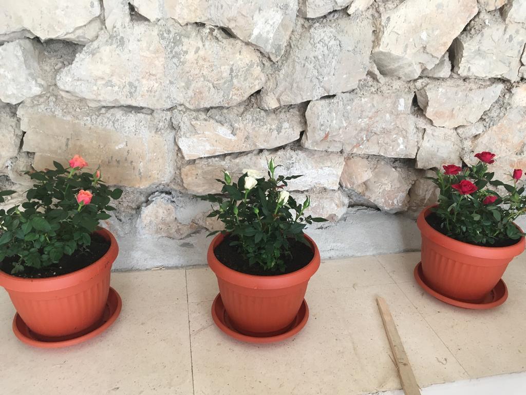 Apartments Petra Tribalj 외부 사진